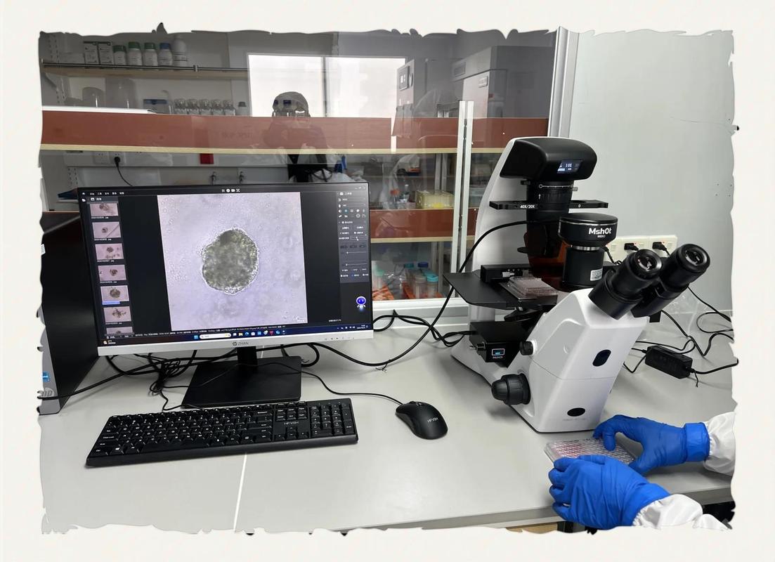 揭秘试管助孕机构增值服务核心细节建议收藏